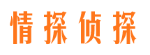 南岔侦探调查公司